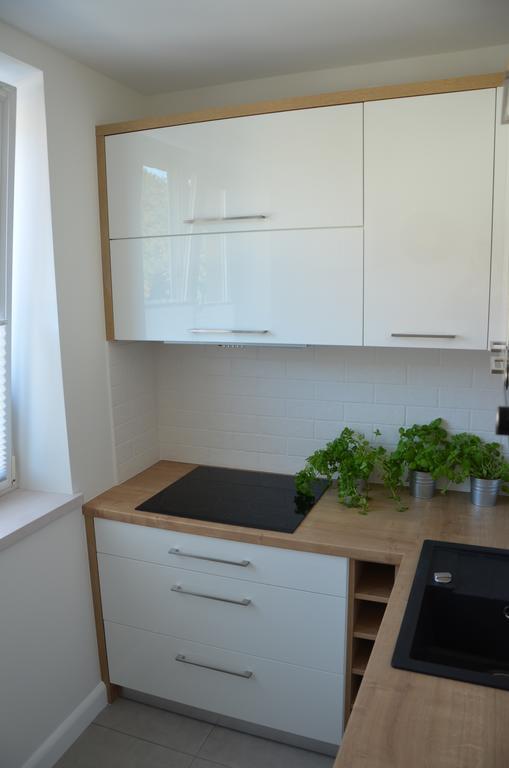Apartament Na Starowce Grobla I Gdansk Bilik gambar